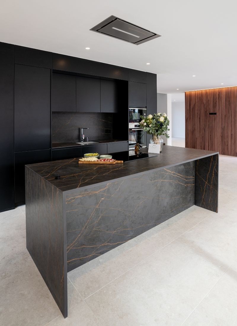 Cuisine en matériau noir dans une maison de luxe avec high-tech style